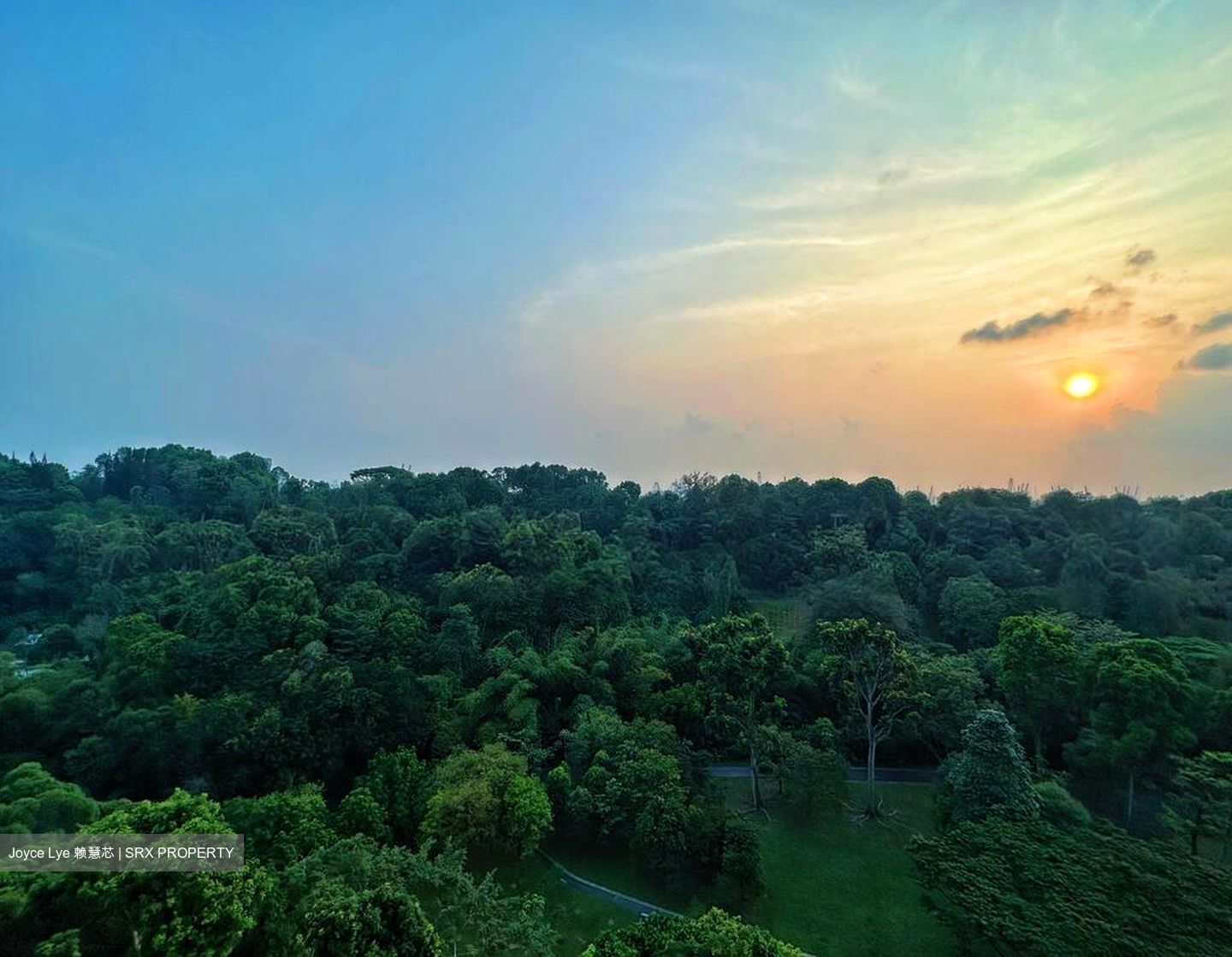 Normanton Park (D5), Apartment #502059011